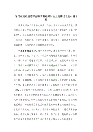 学习在纪检监察干部教育整顿研讨会上的研讨发言材料2篇.docx