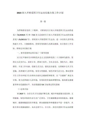 2023深入开展爱国卫生运动实施方案工作计划.docx