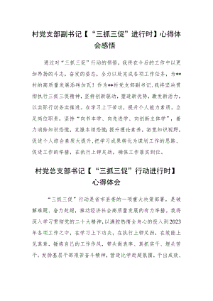 村党支部副书记【“三抓三促”进行时】心得体会感悟范文(3篇).docx