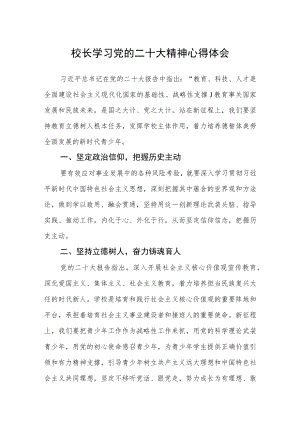 校长学习党的二十大精神心得体会范文(3篇).docx