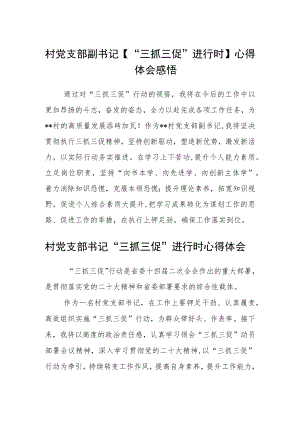 村党支部副书记【“三抓三促”进行时】心得体会感悟范文(通用3篇).docx