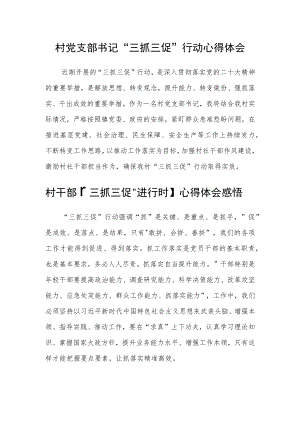 村党支部书记“三抓三促”行动心得体会范文(3篇).docx