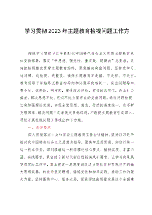 学习贯彻2023年主题教育检视问题工作方案 .docx
