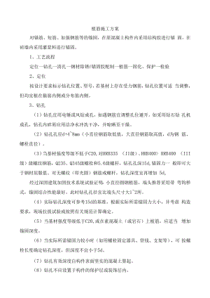 植筋施工方案.docx