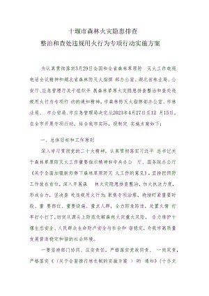十堰市森林火灾隐患排查整治和查处违规用火行为专项行动实施方案.docx