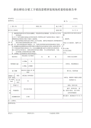 斜拉桥结合梁工字梁段悬臂拼装现场质量检验报告单.docx