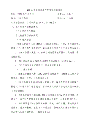 213工作面标准化检查问题7月6日.docx