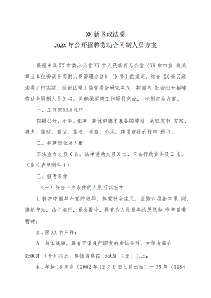 XX新区政法委202X年公开招聘劳动合同制人员方案.docx