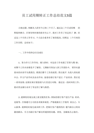 员工试用期转正工作总结范文5篇.docx