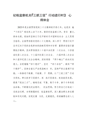 纪检监察机关【“三抓三促”行动进行时】心得体会合篇【三篇】.docx