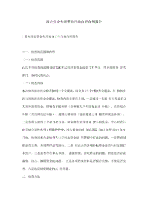 涉农资金专项整治行动自查自纠报告..docx
