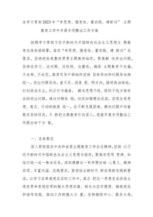 学习贯彻2023年“学思想、强党性、重实践、建新功”总要求主题教育专项整治工作方案.docx