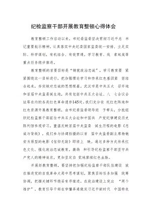 纪检监察干部开展教育整顿心得体会.docx