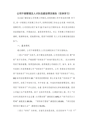 公司干部管理及人才队伍建设情况报告.docx