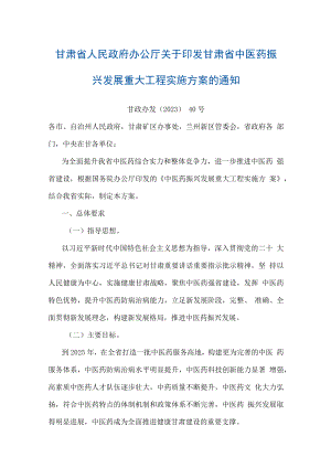 甘肃省中医药振兴发展重大工程实施方案.docx