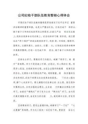 公司纪检干部队伍教育整顿心得体会.docx