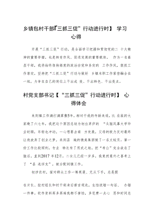 乡镇包村干部【“三抓三促”行动进行时】学习心得合篇【三篇】.docx