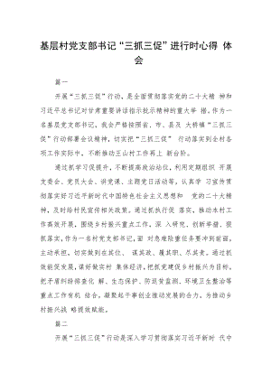 基层村党支部书记“三抓三促”进行时心得体会三篇.docx