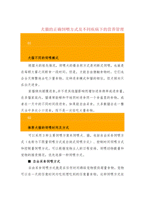 犬猫的正确饲喂方式及不同疾病下的营养管理.docx