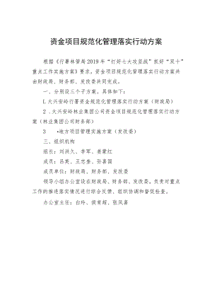资金项目规范化管理落实行动方案.docx