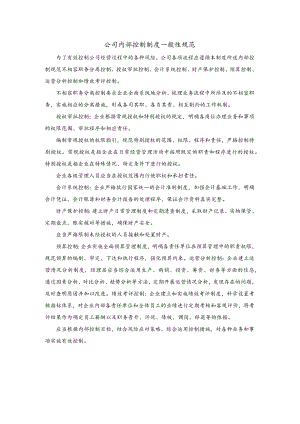 公司内部控制制度一般性规范.docx