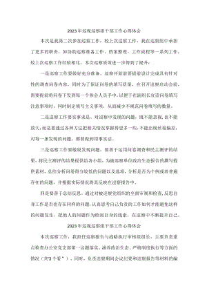 城管局2023年纪检巡察组巡检工作心得体会 汇编七篇.docx