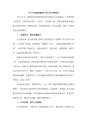 2023年纪检巡察组工作员巡检工作心得体会 汇编七篇.docx