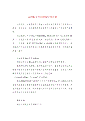 犬的5个发育阶段特征详解.docx