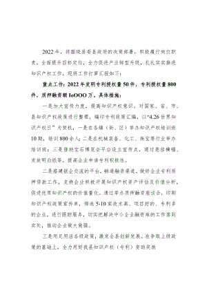 知识产权事业发展中心2022年工作打算.docx