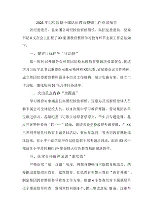 促进投资局2023年纪检监察干部队伍教育整顿工作总结报告 （合计4份）.docx