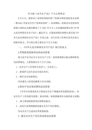 国企安全管理部员工学习新安全生产法个人心得体会 （合计6份）.docx