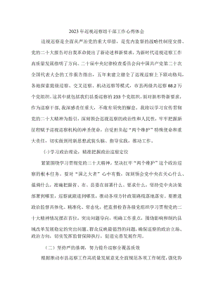 县委县政府2023年纪检巡察组巡检工作个人心得体会 （汇编10份）.docx