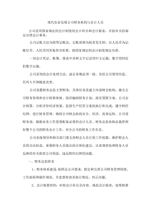现代农业发展公司财务机构与会计人员.docx