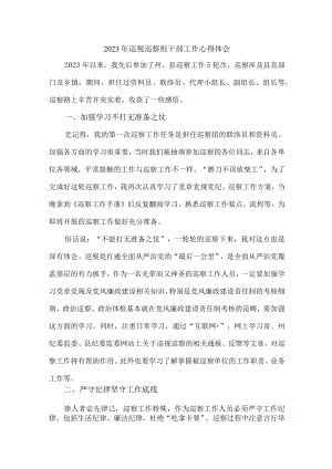 2023年纪检巡察组副组长巡检工作心得体会 汇编七篇.docx