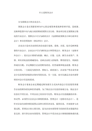 什么是财务会计.docx