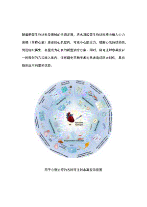 2023可注射水凝胶或成心衰治疗新方案（全文）.docx