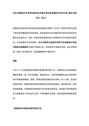 2023尿路结石术前肾功能评估及基于肾功能考量的术后内引流、随访专家共识（全文）.docx