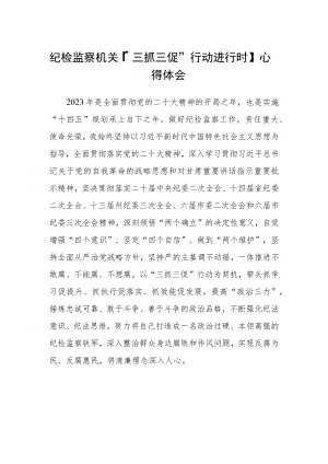 纪检监察机关【“三抓三促”行动进行时】心得体会合篇【三篇】.docx