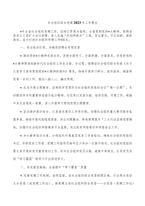 社会组织综合党建2023年工作要点.docx