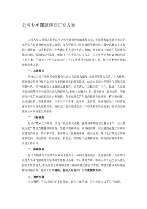 公司专项课题调查研究方案.docx