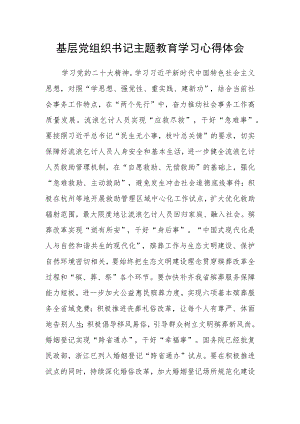 基层党组织书记主题教育学习心得体会.docx