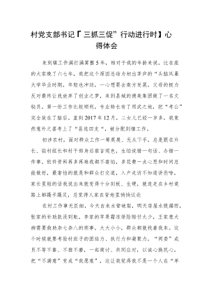 村党支部书记【“三抓三促”行动进行时】心得体会三篇.docx
