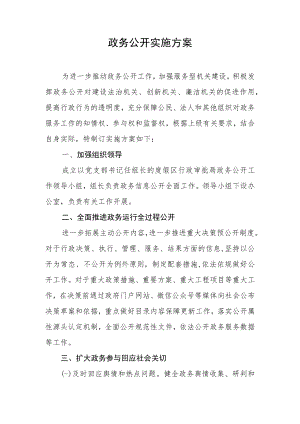 政务公开实施方案.docx