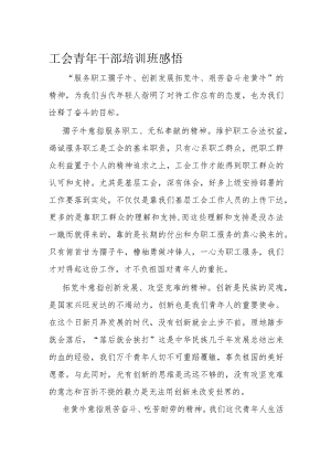 工会青年干部培训班感悟.docx