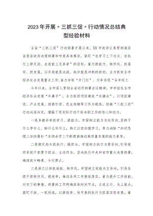 2023年开展〃三抓三促〃行动情况总结典型经验材料合篇【三篇】.docx