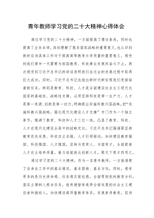 青年教师学习党的二十大精神心得体会合篇【三篇】.docx