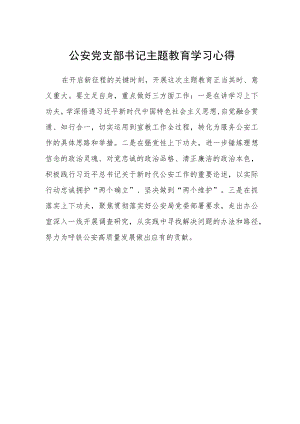 公安党支部书记主题教育学习心得.docx