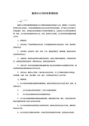 集团分公司财务管理制度.docx