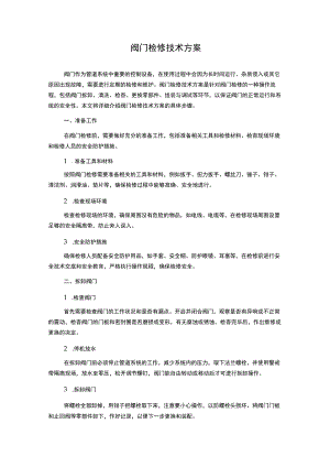 阀门检修技术方案.docx