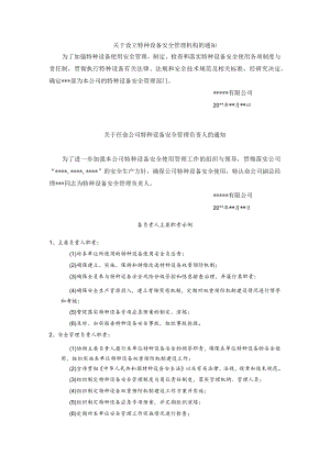 特种设备安全管理机构和岗位职责.docx